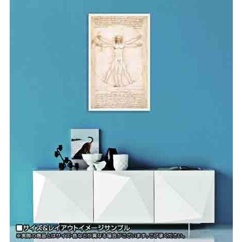 額装品/ウィトルウィウス的人体図/ダ ヴィンチ Amazon.co.jp: ポスター レオナルド ダ ヴィンチ