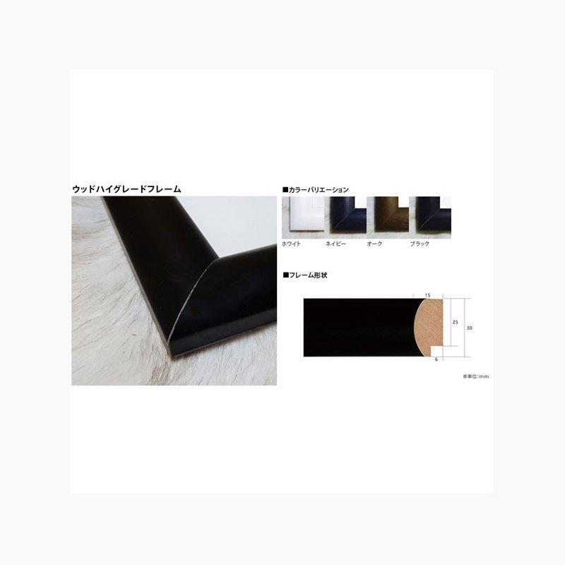 Marilyn Diptych 1962 exhibition（アンディ ウォーホル） 額装品