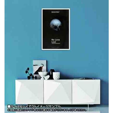 アートポスター ダミアン・ハースト Silver 限定特殊マット額装品/ダミアン・ハースト/ダイヤモンドスカル02