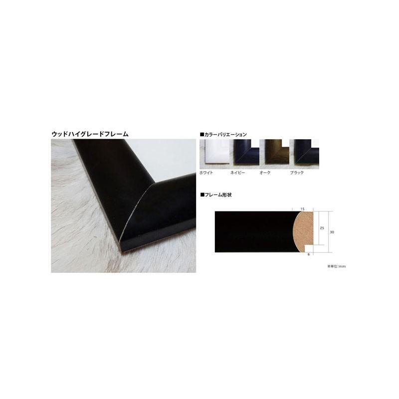 額縁　マーク・ロスコ　ジョアン・ミロ　サルバドール・ダリ　サクラダファミリア 額縁 マーク・ロスコ ジョアン・ミロ サルバドール・ダリ サクラダ