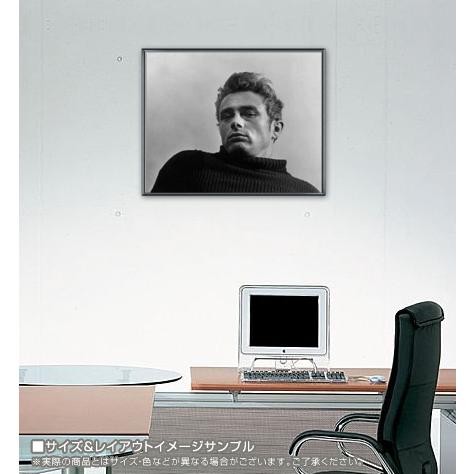 ジェームス ディーン/ロイ シャット/フレーム額装 : azポスター - 通販