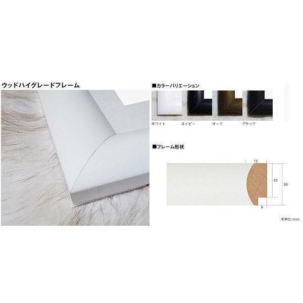 Evening Dress（ノーマン パーキンソン） 額装品 ウッドハイグレード