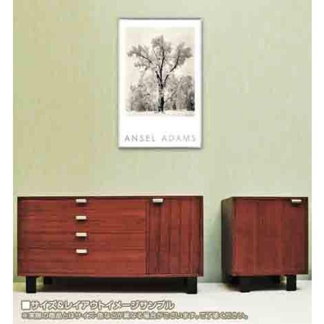 ポスター アート Oak Tree(エンボスマーク入)（アンセル アダムス