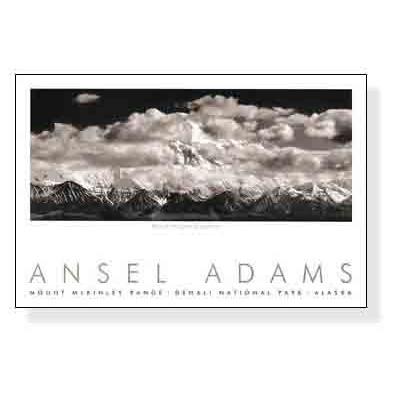 額装品/Pine Forest in Snow/エンボスマーク/アンセルアダムス