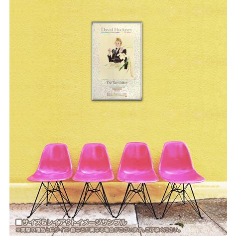 白い花と黒い目のセリア（デビット ホックニー） 額装品 アルミ製ハイ