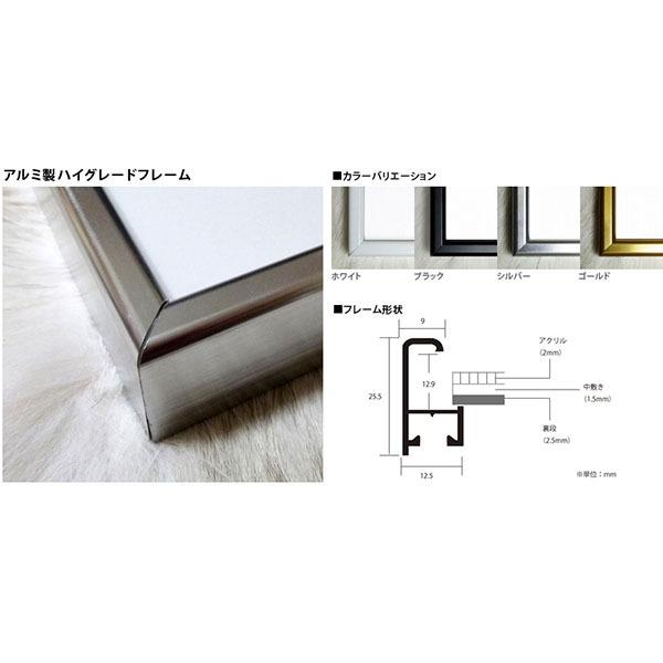 ボルトンシア（ベルナール カトラン） 額装品 アルミ製ハイグレード