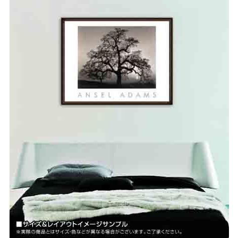ポスター アート Oak Tree - Sunset City California (エンボスマーク 