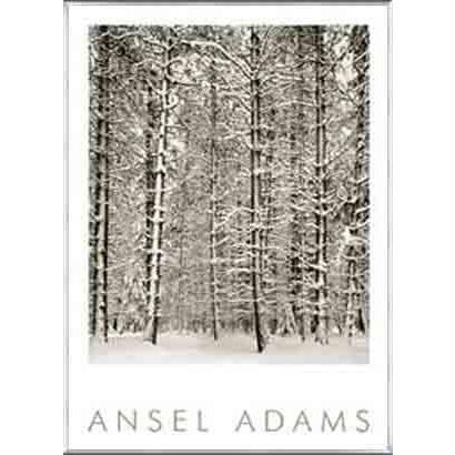 額装品/Pine Forest in Snow/エンボスマーク/アンセルアダムス Pine Forest in Snow (エンボスマーク入)（アンセル アダムス