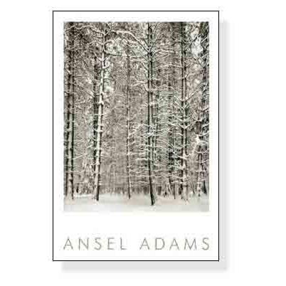 Pine Forest in Snow (エンボスマーク入)（アンセル アダムス） 額装品 アルミ製ハイグレードフレーム｜aziz｜03