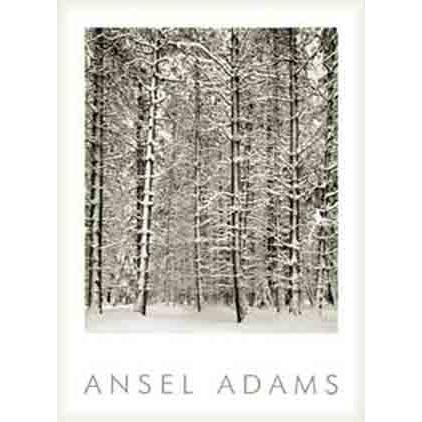 額装品/Pine Forest in /エンボスマーク/アンセルアダムス Pine Forest in Snow (エンボスマーク入)（アンセル アダムス） 額装品