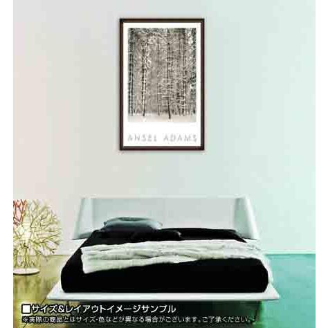 額装品/Pine Forest in Snow/エンボスマーク/アンセルアダムス 額装品/Pine Forest in Snow/エンボスマーク/アンセルアダムス