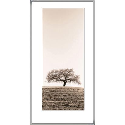Lone Oak Tree(アラン ブラウステイン)額装済ポスター