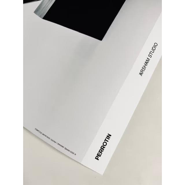 額装品/Amalgamized Bust of Veiled Woman 2023/ダニエル アーシャム