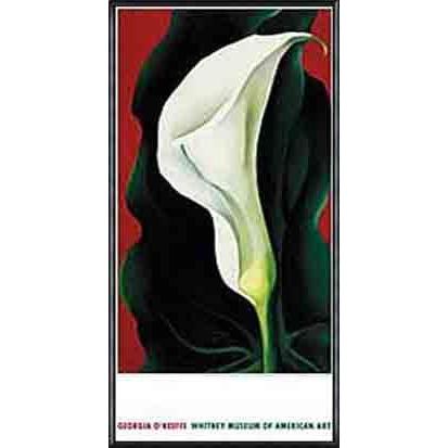 Single Lily with Red（ジョージア オキーフ） 額装品 アルミ製ハイ 