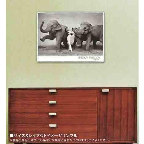 Dovima With Elephants（リチャード アベドン）アートポスター Dovima with Elephants, Evening Dress by Dior, Cirque d'Hiver