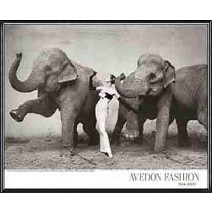 ポスター アート Dovima With Elephants（リチャード アベドン） 額装品 アルミ製ハイグレードフレーム