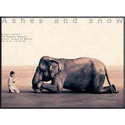 Ashes and snow 象に本を読んで聞かせる少年（グレゴリー コルベール