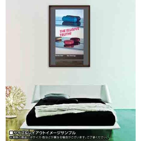 額装品/Beautiful Inside（ダミアン ハースト）/アートポスター 額装品/Beautiful Inside（ダミアン ハースト）/アートポスター