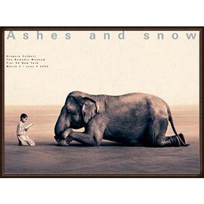 Ashes and snow 象に本を読んで聞かせる少年（グレゴリー コルベール） 額装品 ウッドハイグレードフレーム