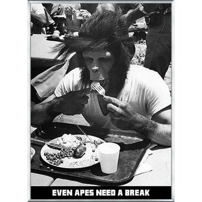 Even Apes Need a Break（アーティスト不明） 額装品 アルミ製ベーシックフレーム