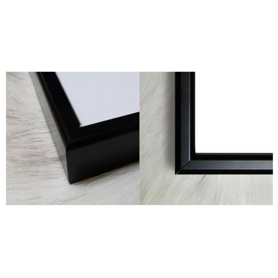 限定マット額装品/3点セット ビジョネア ミニプリント 額装品 マット 限定 限定マット額装品/ダン・マクミラン REX