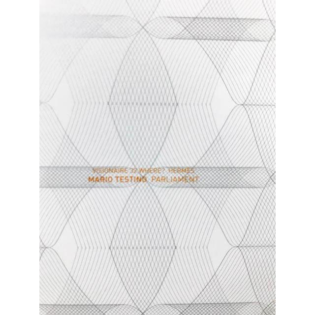 限定マット額装品/HERMES【エルメス】マリオテスティーノ VISIONAIRE