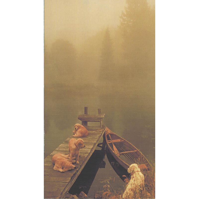 限定マット額装品/HERMES【エルメス】ブルース ウェーバー Off The