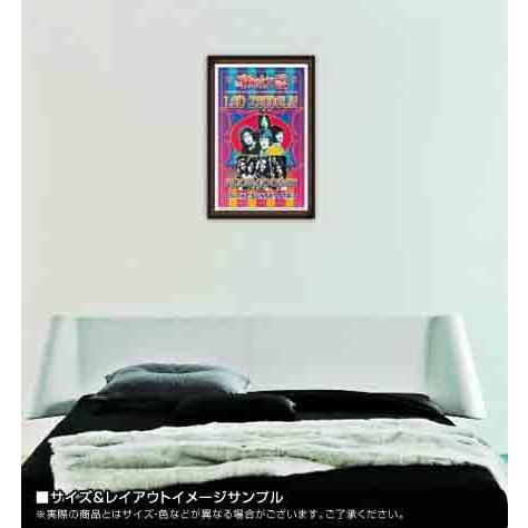 Led Zeppelin Alice Cooper（デニス ローレン） 額装品 ウッドハイグレードフレーム_1