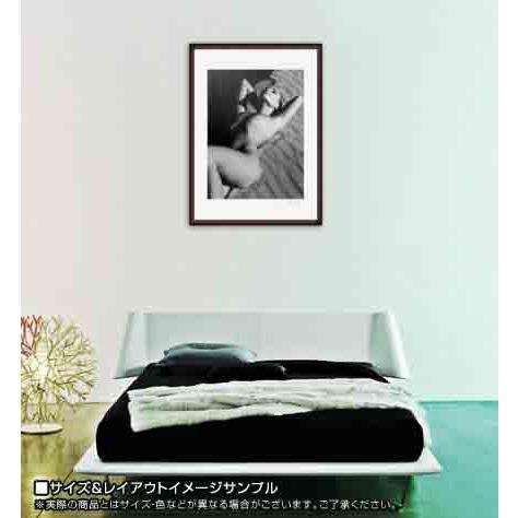 ポスター アート Echo Johnson サイン入り 限定250枚 サイン入り 