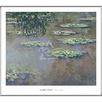 睡蓮 ( 額装済み) 000000012211.jpg