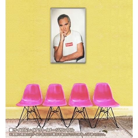 Supreme Morrissey モリッシー　ポスター（ポスターフレーム付き） Morrissey （モリッシー）（シュプリーム） 額装品 アルミ製ハイ