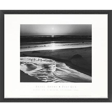 Birds on A Beach 1966/アンセル アダムス/額装済 : azポスター - 通販