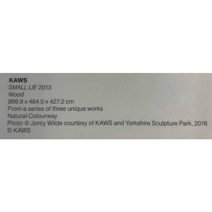 限定マット額装品/カウズ【SMALL LIE 2013】（ブライアン・ドネリー