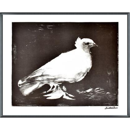 ピカソ　大判ポスター　アルミ額装 鳩 1949（パブロ ピカソ） 額装品 アルミ製ベーシックフレーム : az