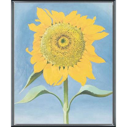 額装品/Sunflowe/ジョージア オキーフ ジョージア・オキーフ：A Sunflower from Maggie, 1937 ポスター