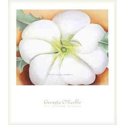 額装済/Asleep on/フェルディナンド シアナ/ポスター/アート/インテリア