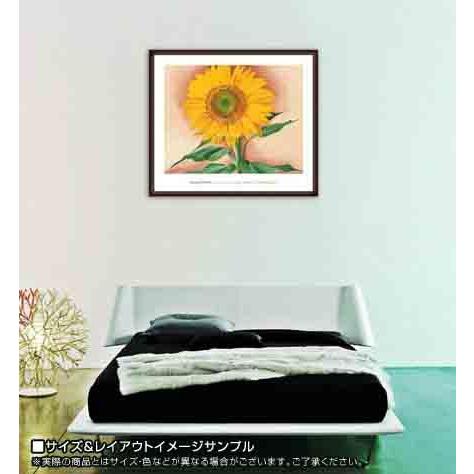 ポスター アート Sunflower from Maggie 1937（ジョージア オキーフ