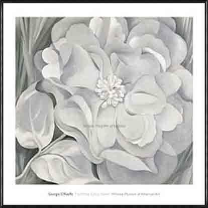 ポスター アート The White Calico Flower 1931（ジョージア オキーフ