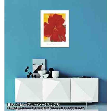 ポスター アート Red Amaryllis、 1937（ジョージア オキーフ） 額装品