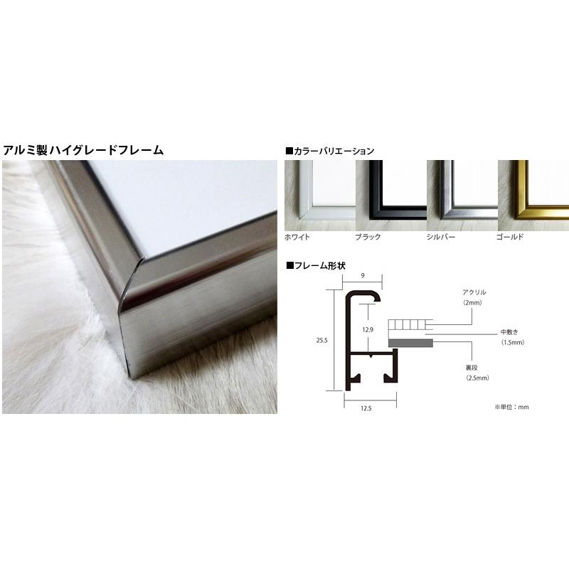 特別額装品/Le Decollete New York/ブルメンフェルド 特別額装品/Le Decollete New York/ブルメンフェルド