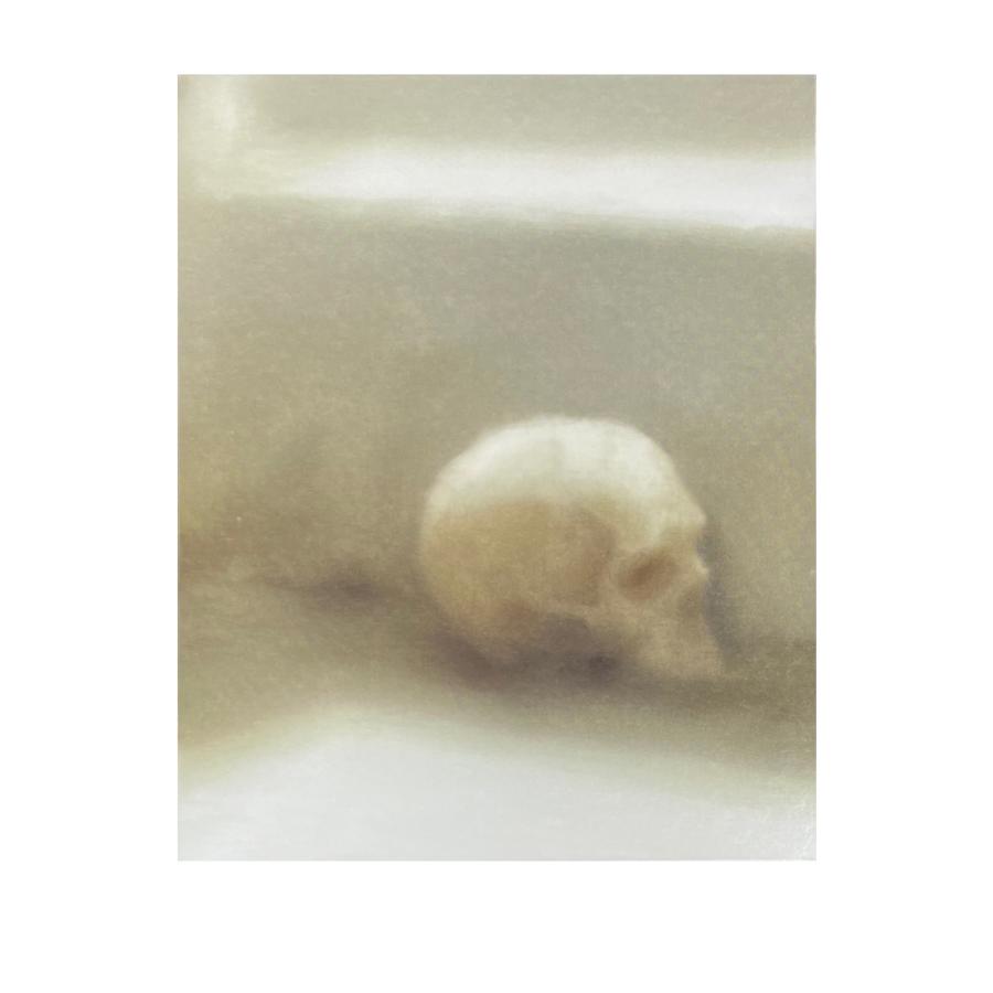 限定マット額装品/ゲルハルト・リヒター/Skull 1983 : azポスター