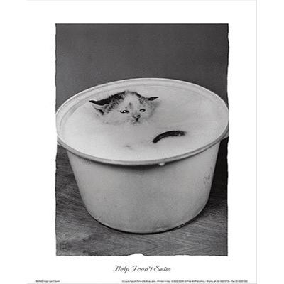 額装品/CAT 1983/ウィル バーネット/ポスター 額装品/CAT 1983/ウィル バーネット/ポスター - メルカリ