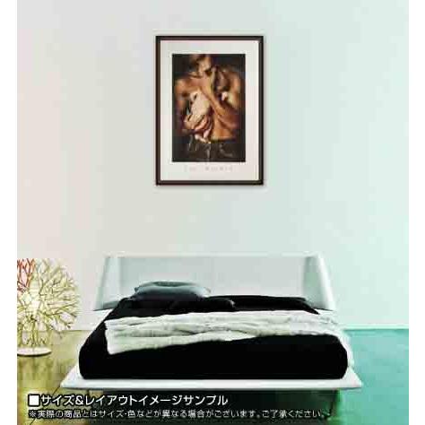 ポスター アート Theater of Life（ヤン ソーデック） 額装品 ウッド 