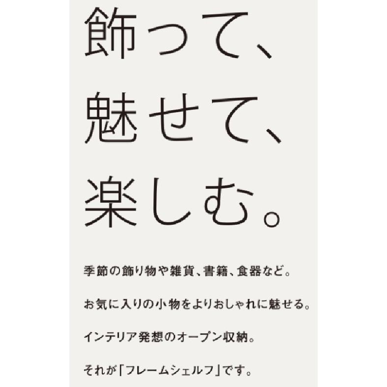 パナソニック【フレームシェルフ セットプランJS01 W2459×H900×D346 1セット】の画像