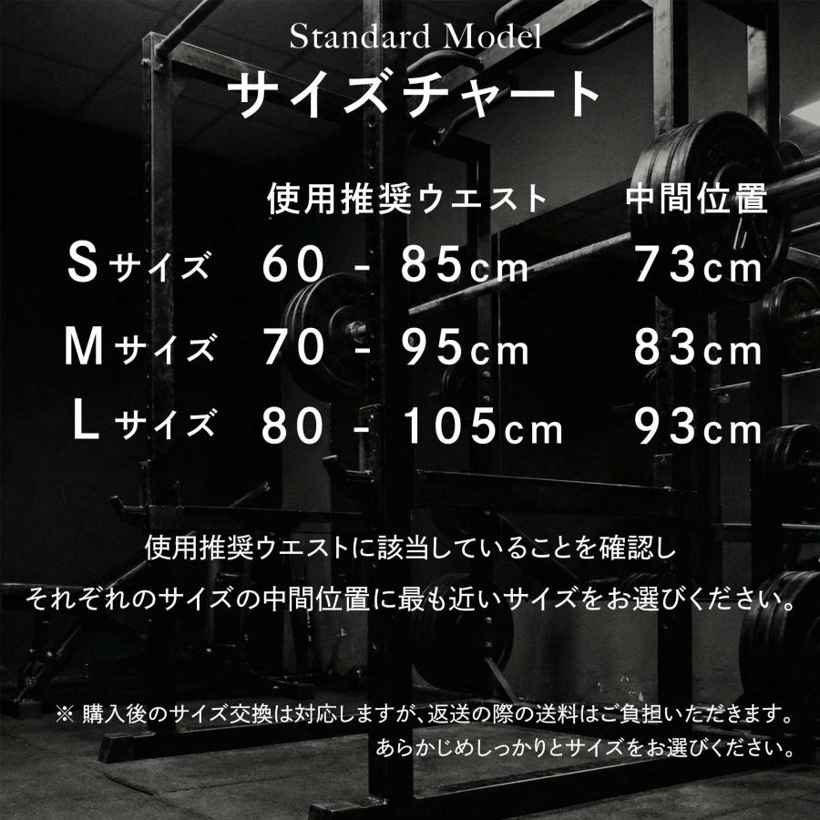 AZLIV レバーベルト LEX Standard 厚さ 10mm スタンダード レバー