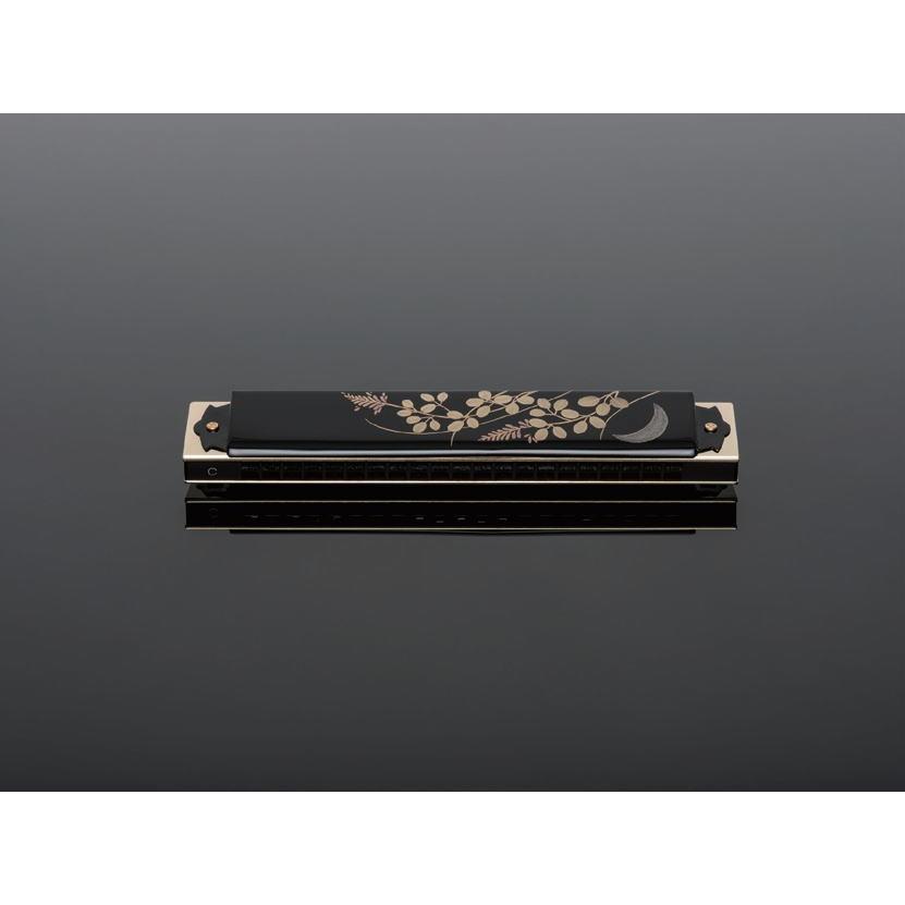 トンボ複音21穴ハーモニカ C調 黒漆モデル No.100JL/T | TONBO（新輝合成） | 01