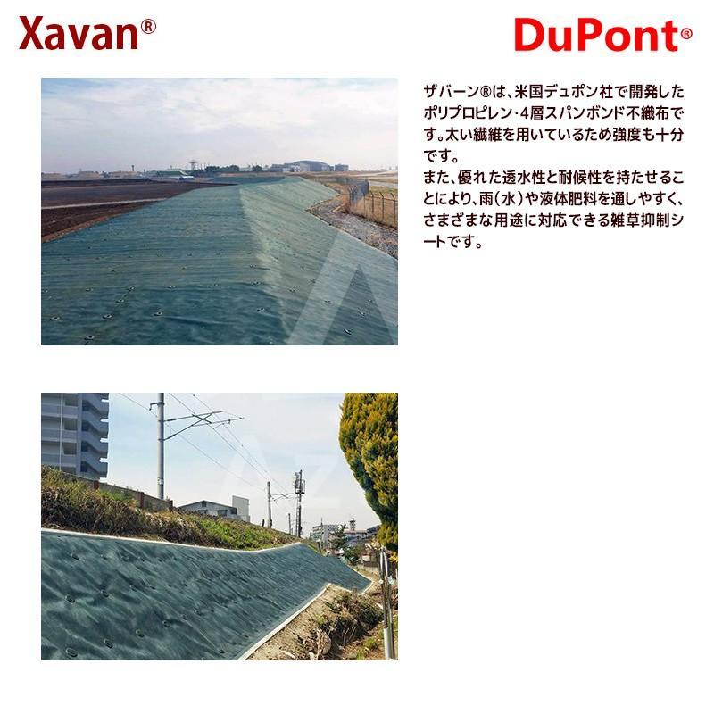 DuPont｜＜2本セット品＞防草シート　ザバーン350G　2mx30m　高耐久・強力タイプ　(ドット印刷有り）｜法人様限定　グリーン　XA-350G2.0