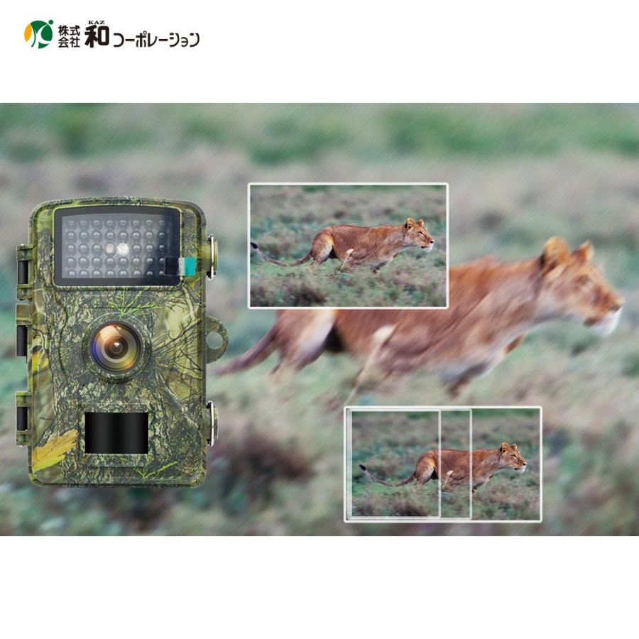 和コーポレーション KAZ 害獣対策 防犯・防獣トレイルカメラ フルHD SP