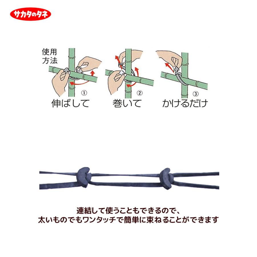 サカタのタネ｜＜2箱セット品＞ゴムスビー 500g 園芸用万能輪ゴム 5mmx70mm ネコポス｜法人様限定｜aztec-biz｜03