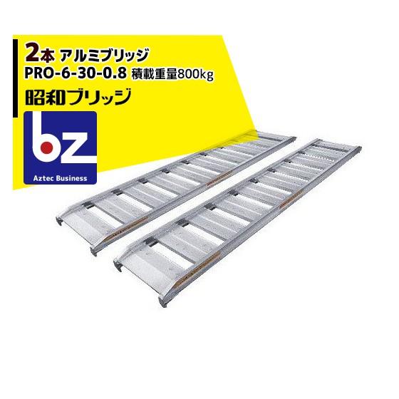 昭和ブリッジ アルミブリッジ 2本セット PRO-6-30-0.8 (長さ180cm×幅 